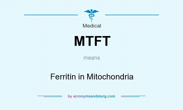 What does MTFT mean? It stands for Ferritin in Mitochondria