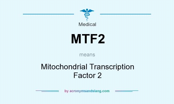 What does MTF2 mean? It stands for Mitochondrial Transcription Factor 2