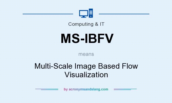 What does MS-IBFV mean? It stands for Multi-Scale Image Based Flow Visualization