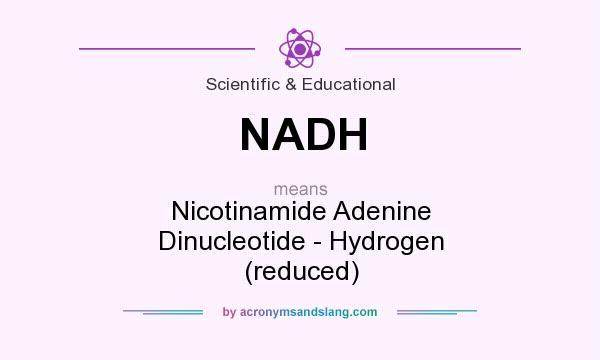 What does NADH mean? It stands for Nicotinamide Adenine Dinucleotide - Hydrogen (reduced)