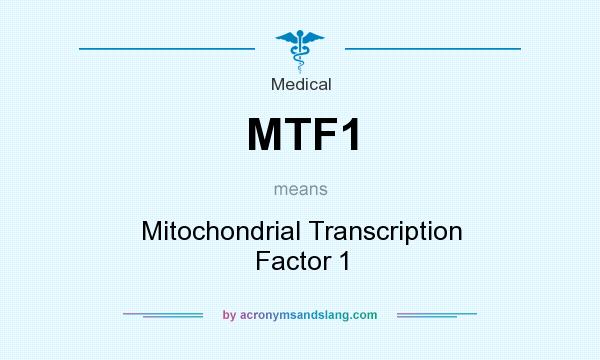 What does MTF1 mean? It stands for Mitochondrial Transcription Factor 1