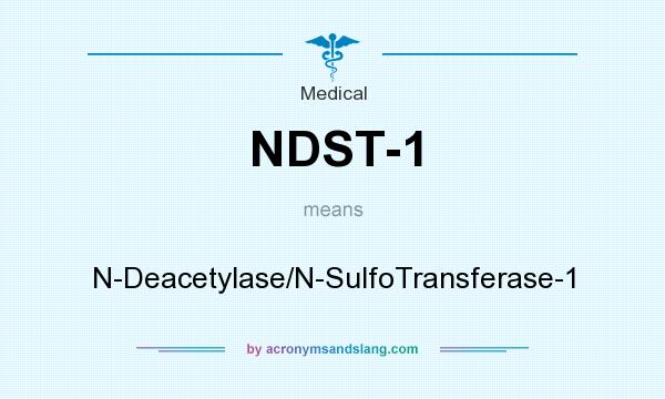 What does NDST-1 mean? It stands for N-Deacetylase/N-SulfoTransferase-1