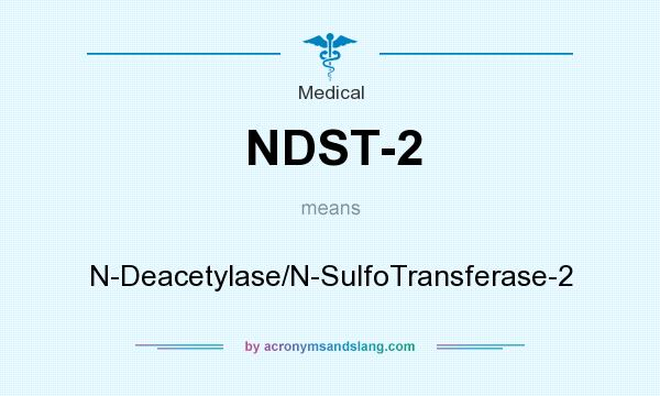 What does NDST-2 mean? It stands for N-Deacetylase/N-SulfoTransferase-2