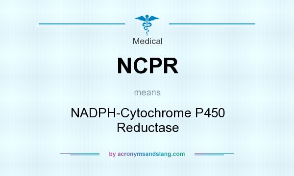 What does NCPR mean? It stands for NADPH-Cytochrome P450 Reductase