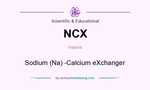 What does NCX mean? It stands for Sodium (Na) -Calcium eXchanger