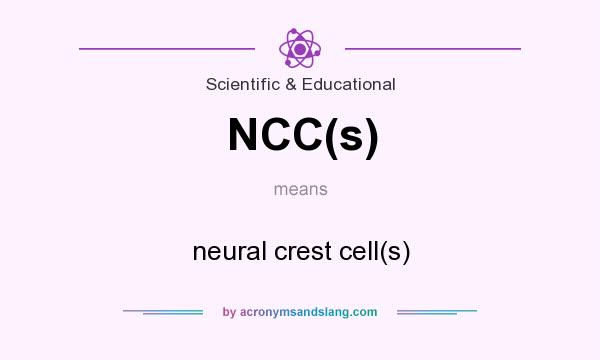 What does NCC(s) mean? It stands for neural crest cell(s)