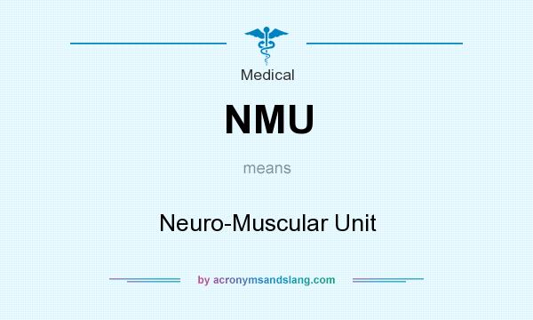 What does NMU mean? It stands for Neuro-Muscular Unit