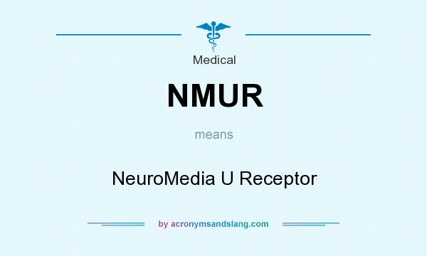 What does NMUR mean? It stands for NeuroMedia U Receptor