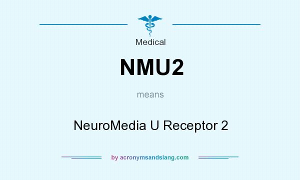 What does NMU2 mean? It stands for NeuroMedia U Receptor 2
