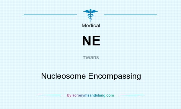 What does NE mean? It stands for Nucleosome Encompassing