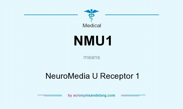 What does NMU1 mean? It stands for NeuroMedia U Receptor 1