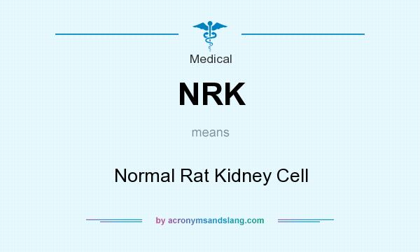 What does NRK mean? It stands for Normal Rat Kidney Cell