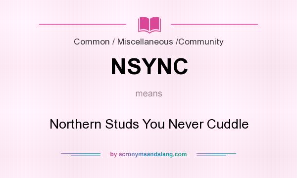 What does NSYNC mean? It stands for Northern Studs You Never Cuddle