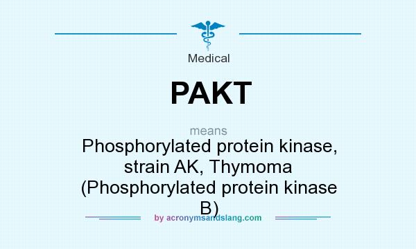 What does PAKT mean? It stands for Phosphorylated protein kinase, strain AK, Thymoma (Phosphorylated protein kinase B)