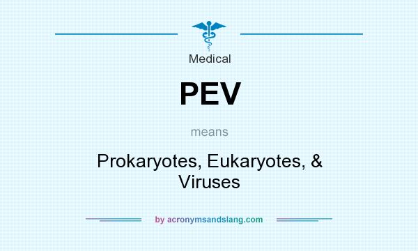What does PEV mean? It stands for Prokaryotes, Eukaryotes, & Viruses