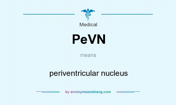 What does PeVN mean? It stands for periventricular nucleus
