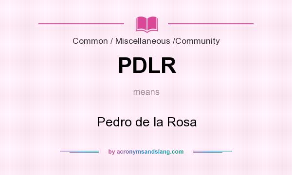 What does PDLR mean? It stands for Pedro de la Rosa
