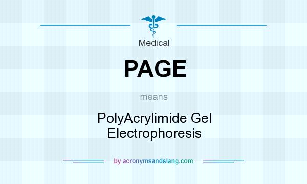 What does PAGE mean? It stands for PolyAcrylimide Gel Electrophoresis