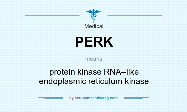 What does PERK mean? It stands for protein kinase RNA–like endoplasmic reticulum kinase