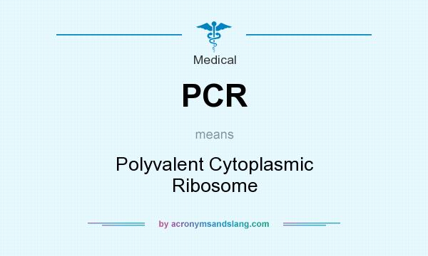 What does PCR mean? It stands for Polyvalent Cytoplasmic Ribosome