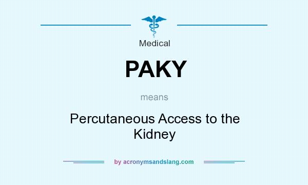 What does PAKY mean? It stands for Percutaneous Access to the Kidney