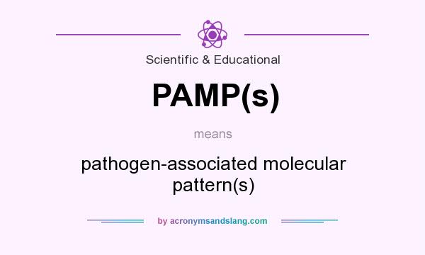 What does PAMP(s) mean? It stands for pathogen-associated molecular pattern(s)