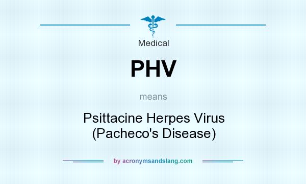 What does PHV mean? It stands for Psittacine Herpes Virus (Pacheco`s Disease)