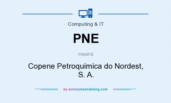 What does PNE mean? It stands for Copene Petroquimica do Nordest, S. A.