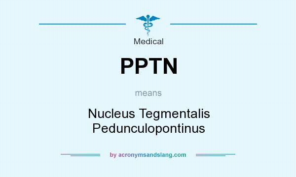 What does PPTN mean? It stands for Nucleus Tegmentalis Pedunculopontinus