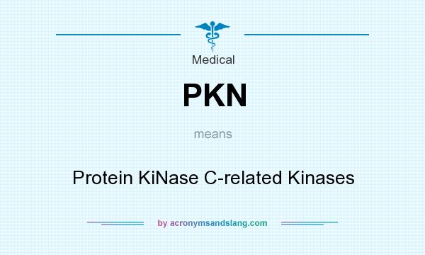 What does PKN mean? It stands for Protein KiNase C-related Kinases