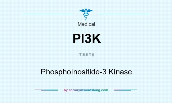 What does PI3K mean? It stands for PhosphoInositide-3 Kinase