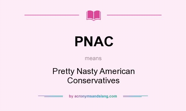 What does PNAC mean? It stands for Pretty Nasty American Conservatives