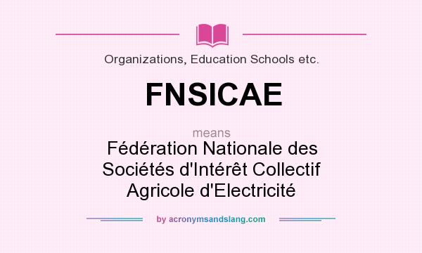 What does FNSICAE mean? It stands for Fédération Nationale des Sociétés d`Intérêt Collectif Agricole d`Electricité