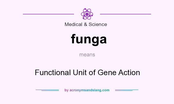What does funga mean? It stands for Functional Unit of Gene Action