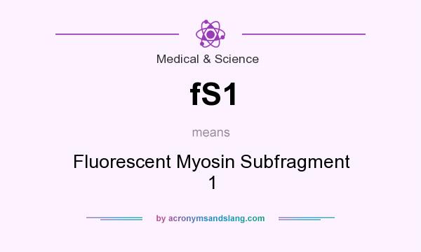 What does fS1 mean? It stands for Fluorescent Myosin Subfragment 1