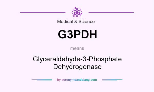 What does G3PDH mean? It stands for Glyceraldehyde-3-Phosphate Dehydrogenase