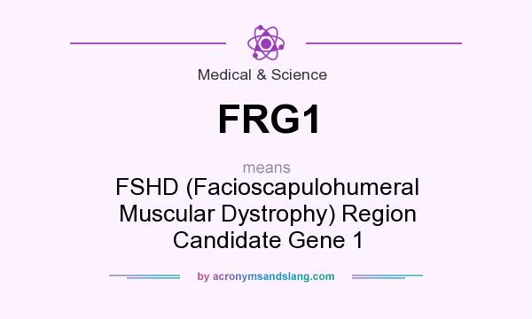 What does FRG1 mean? It stands for FSHD (Facioscapulohumeral Muscular Dystrophy) Region Candidate Gene 1