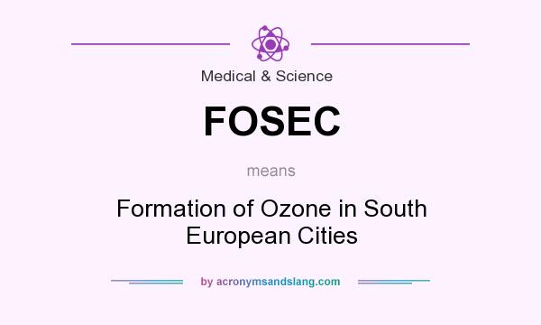 What does FOSEC mean? It stands for Formation of Ozone in South European Cities