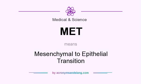 What does MET mean? It stands for Mesenchymal to Epithelial Transition