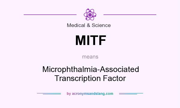 What does MITF mean? It stands for Microphthalmia-Associated Transcription Factor