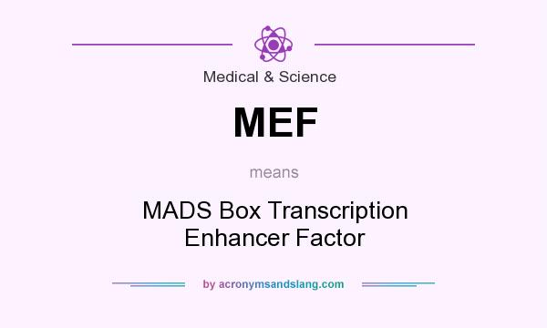 What does MEF mean? It stands for MADS Box Transcription Enhancer Factor