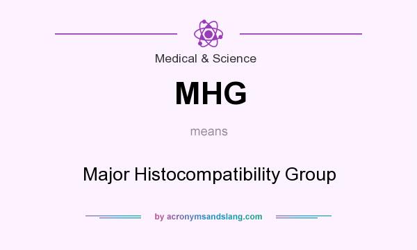 What does MHG mean? It stands for Major Histocompatibility Group
