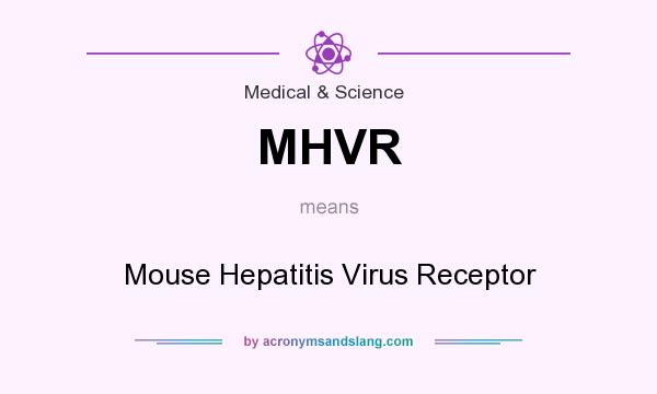 What does MHVR mean? It stands for Mouse Hepatitis Virus Receptor