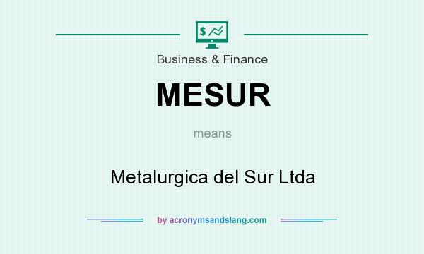 What does MESUR mean? It stands for Metalurgica del Sur Ltda