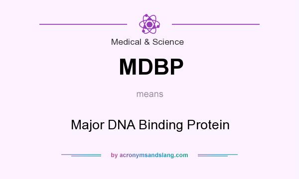 What does MDBP mean? It stands for Major DNA Binding Protein