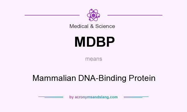 What does MDBP mean? It stands for Mammalian DNA-Binding Protein