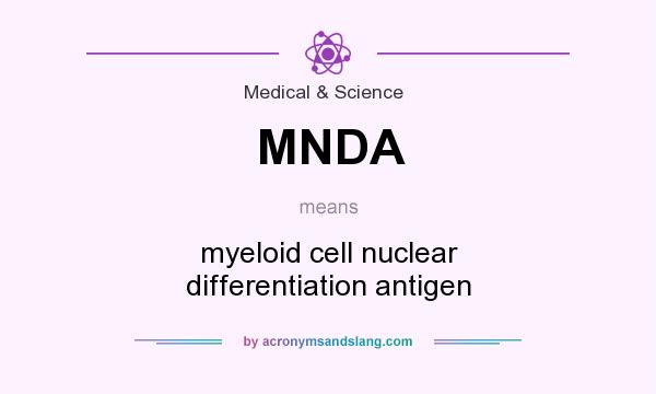 What does MNDA mean? It stands for myeloid cell nuclear differentiation antigen