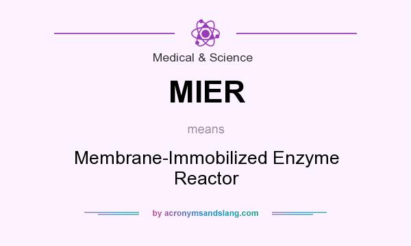What does MIER mean? It stands for Membrane-Immobilized Enzyme Reactor