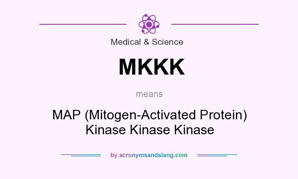 What does MKKK mean? It stands for MAP (Mitogen-Activated Protein) Kinase Kinase Kinase