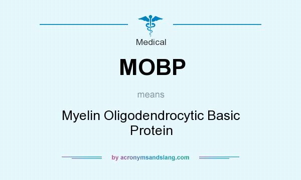 What does MOBP mean? It stands for Myelin Oligodendrocytic Basic Protein